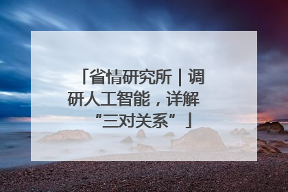 省情研究所｜调研人工智能，详解“三对关系”