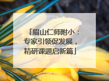 眉山仁师附小：专家引领促发展，精研课题启新篇