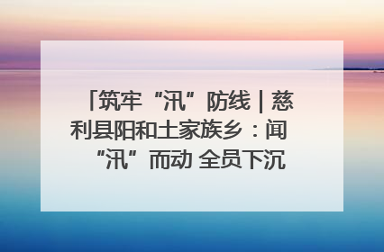 筑牢“汛”防线｜慈利县阳和土家族乡：闻“汛”而动 全员下沉筑牢防汛“安全堤”