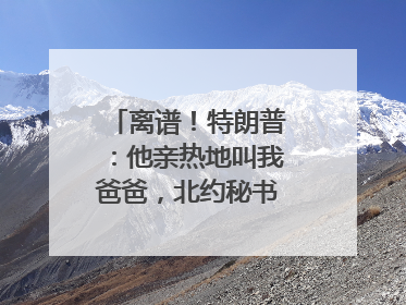 离谱！特朗普：他亲热地叫我爸爸，北约秘书长：我没有