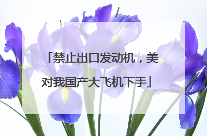 禁止出口发动机，美对我国产大飞机下手