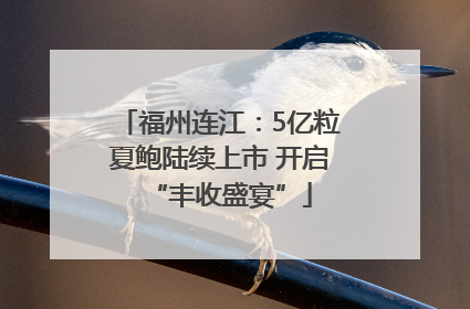 福州连江：5亿粒夏鲍陆续上市 开启“丰收盛宴”