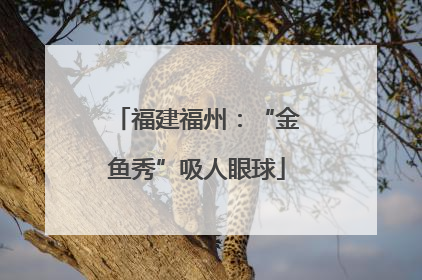 福建福州：“金鱼秀”吸人眼球
