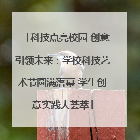 科技点亮校园 创意引领未来：学校科技艺术节圆满落幕 学生创意实践大荟萃