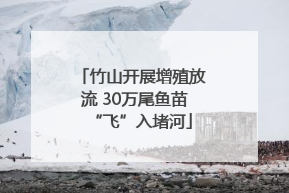 竹山开展增殖放流 30万尾鱼苗“飞”入堵河