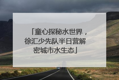 童心探秘水世界，徐汇少先队半日营解密城市水生态