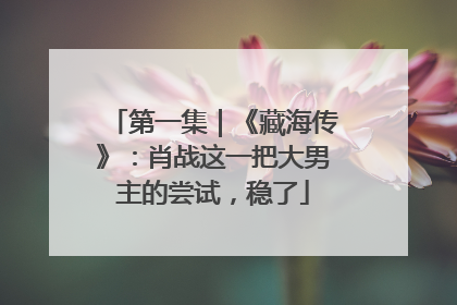 第一集｜《藏海传》：肖战这一把大男主的尝试，稳了