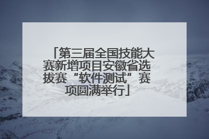 第三届全国技能大赛新增项目安徽省选拔赛“软件测试”赛项圆满举行
