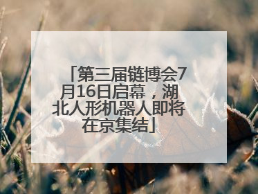 第三届链博会7月16日启幕，湖北人形机器人即将在京集结