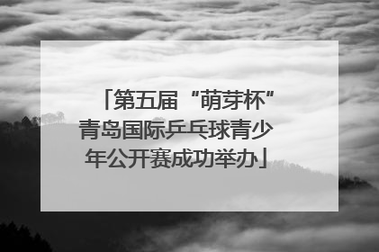 第五届“萌芽杯”青岛国际乒乓球青少年公开赛成功举办