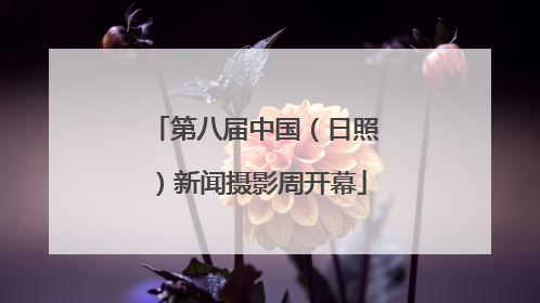 第八届中国（日照）新闻摄影周开幕