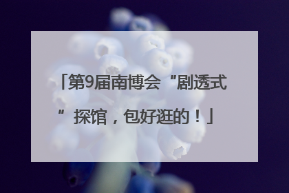 第9届南博会“剧透式”探馆，包好逛的！
