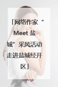 网络作家“Meet 盐城”采风活动走进盐城经开区