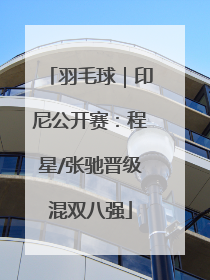 羽毛球｜印尼公开赛：程星/张驰晋级混双八强