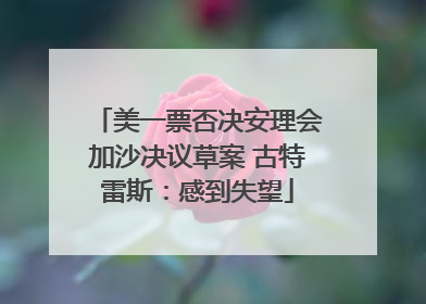 美一票否决安理会加沙决议草案 古特雷斯：感到失望
