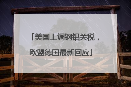 美国上调钢铝关税，欧盟德国最新回应