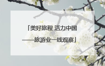美好旅程 活力中国——旅游业一线观察