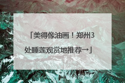 美得像油画！郑州3处睡莲观赏地推荐→