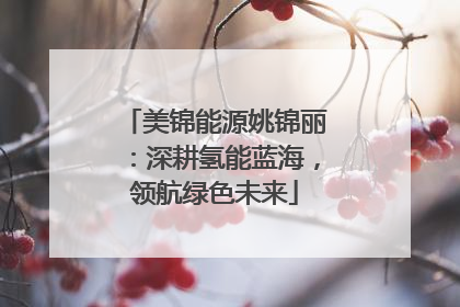 美锦能源姚锦丽：深耕氢能蓝海，领航绿色未来