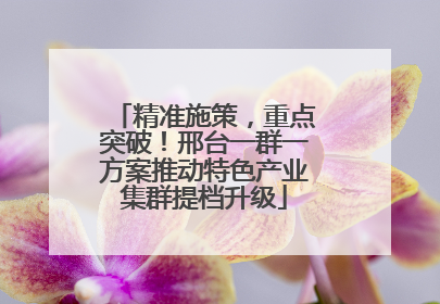 精准施策，重点突破！邢台一群一方案推动特色产业集群提档升级