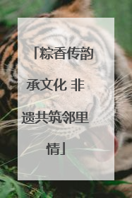 粽香传韵承文化 非遗共筑邻里情