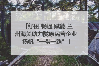 纾困 畅通 赋能 兰州海关助力陇原民营企业扬帆“一带一路”