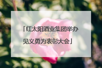 红太阳酒业集团举办见义勇为表彰大会