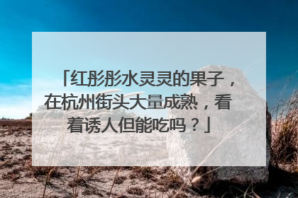 红彤彤水灵灵的果子，在杭州街头大量成熟，看着诱人但能吃吗？