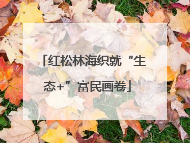 红松林海织就“生态+”富民画卷