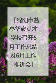 绵阳市盐亭华宸英才学校召开5月工作总结及6月工作推进会