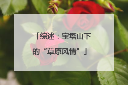 综述：宝塔山下的“草原风情”