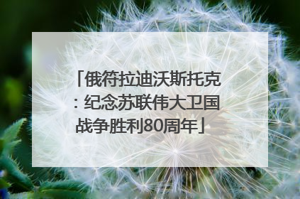 俄符拉迪沃斯托克：纪念苏联伟大卫国战争胜利80周年