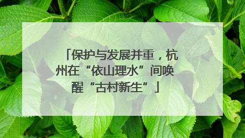 保护与发展并重，杭州在“依山理水”间唤醒“古村新生”