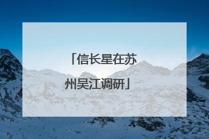 信长星在苏州吴江调研