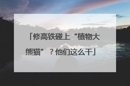 修高铁碰上“植物大熊猫”？他们这么干