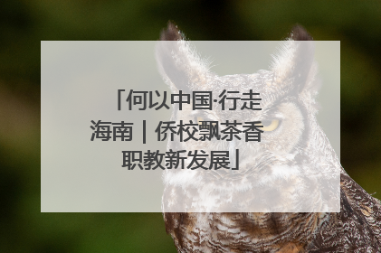 何以中国·行走海南｜侨校飘茶香 职教新发展