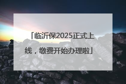临沂保2025正式上线，缴费开始办理啦