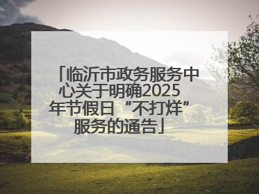临沂市政务服务中心关于明确2025年节假日“不打烊”服务的通告