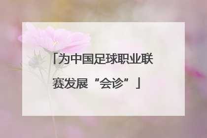 为中国足球职业联赛发展“会诊”