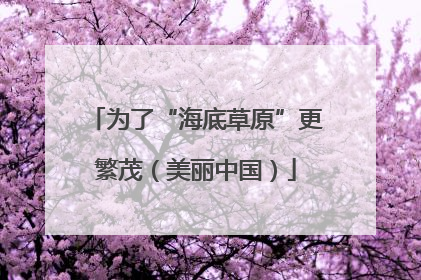 为了“海底草原”更繁茂（美丽中国）