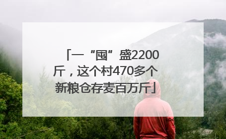 一“囤”盛2200斤，这个村470多个新粮仓存麦百万斤