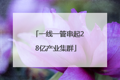 一线一管串起28亿产业集群