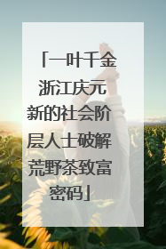 一叶千金 浙江庆元新的社会阶层人士破解荒野茶致富密码