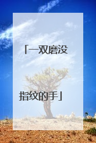 一双磨没指纹的手
