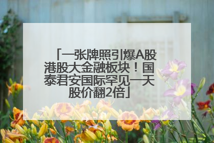 一张牌照引爆A股港股大金融板块！国泰君安国际罕见一天股价翻2倍
