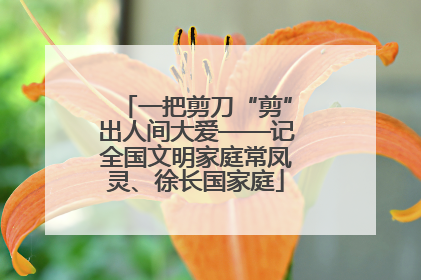 一把剪刀“剪”出人间大爱——记全国文明家庭常凤灵、徐长国家庭