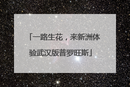 一路生花，来新洲体验武汉版普罗旺斯