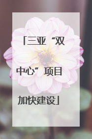 三亚“双中心”项目加快建设