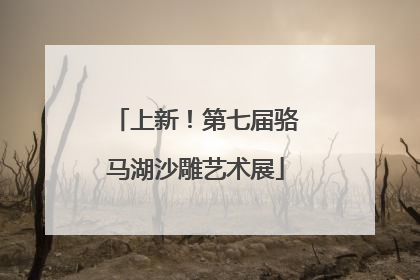 上新！第七届骆马湖沙雕艺术展