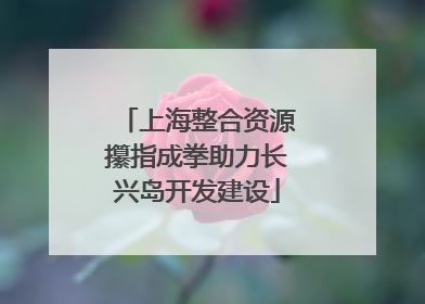 上海整合资源攥指成拳助力长兴岛开发建设